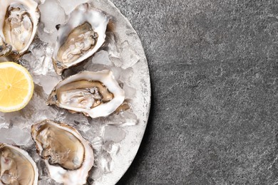 Delicious fresh oysters with lemon on grey table, top view