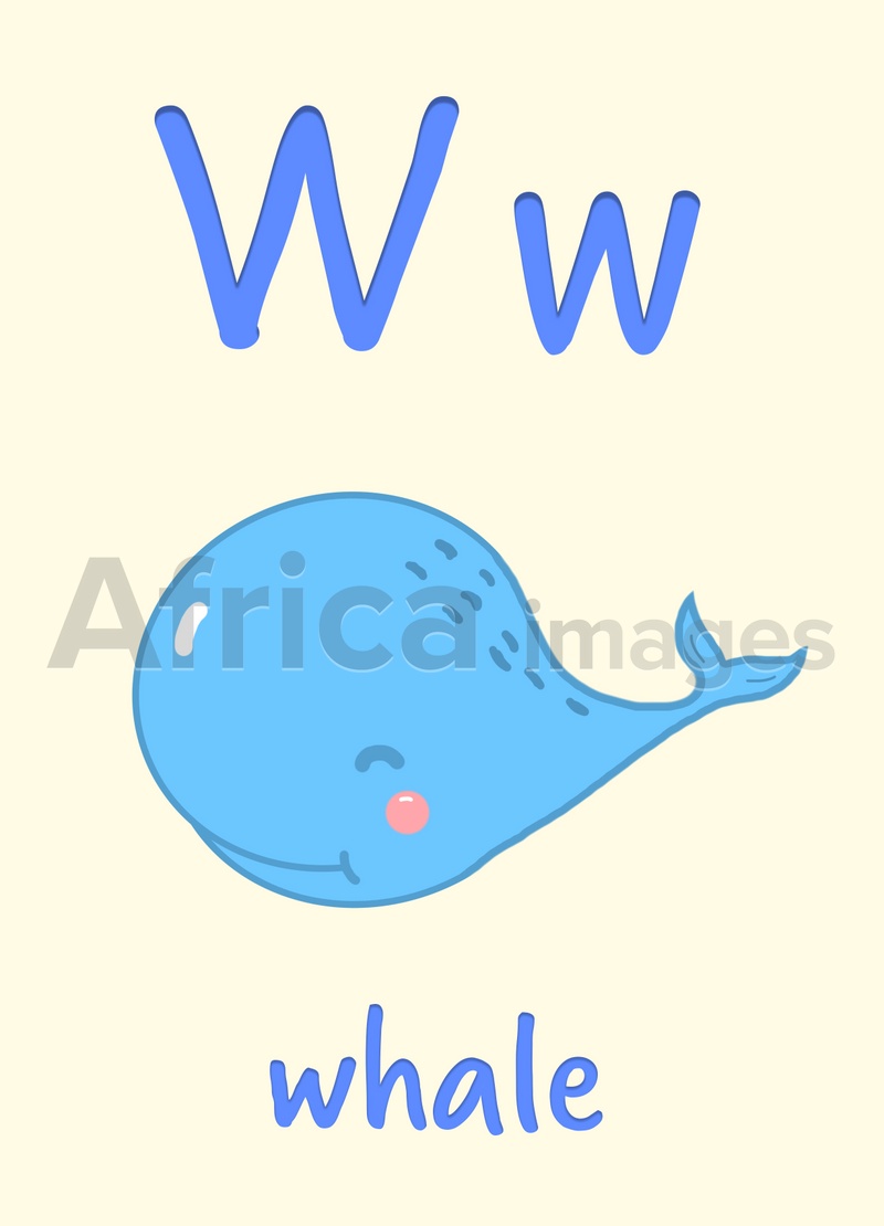 Learning English alphabet. Card with letter W and whale, illustration
