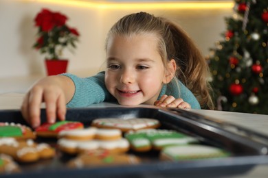 Cute little girl taking fresh Christmas gingerbread cookie from baking sheet at table indoors