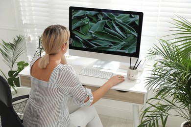 Woman working on computer at table in room, back view. Interior design
