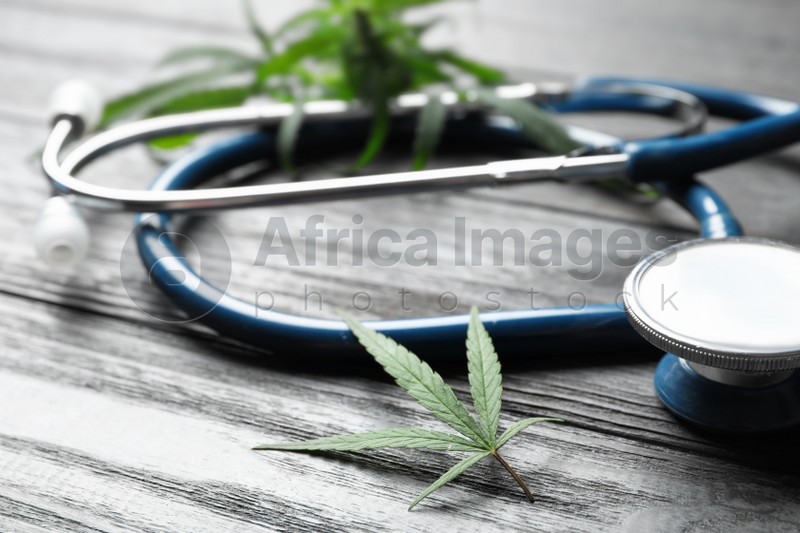 Hemp leaves and stethoscope on grey wooden table, closeup