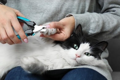 Photo of Woman cutting claws of cute cat with clipper, closeup