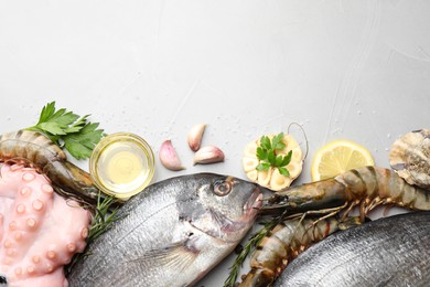 Photo of Flat lay composition with fresh raw dorado fish and different seafood on light grey table. Space for text