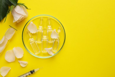 Pharmaceutical ampoules with medication, petals and syringe on yellow background, flat lay. Space for text