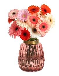 Bouquet of beautiful colorful gerbera flowers in vase isolated on white