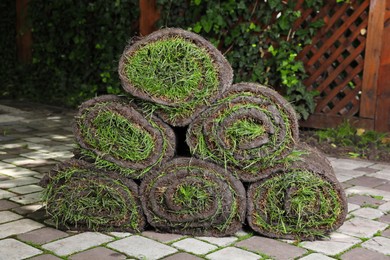 Photo of Rolls of sod with grass on backyard