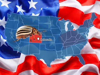 USA map with marked state of Colorado and potato beetle 