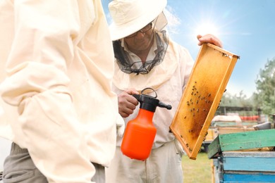 Beekeeper spraying sugar water onto hive frame at apiary. Harvesting honey