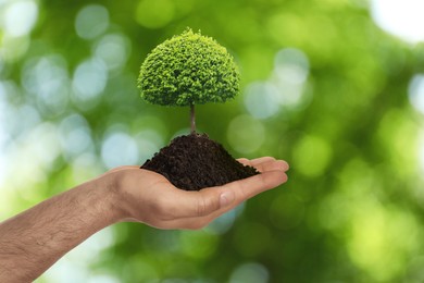 Image of Man holding pile of soil with small tree on blurred green background, closeup. Eco friendly lifestyle 