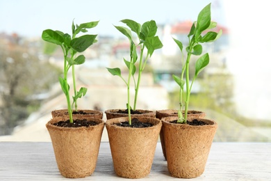 Photo of Vegetable seedlings in peat pots on wooden window sill indoors