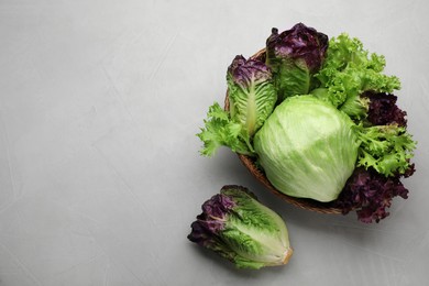 Photo of Different sorts of lettuce on light grey table, flat lay. Space for text