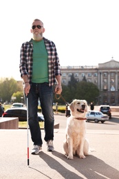 Photo of Guide dog helping blind person with long cane walking outdoors