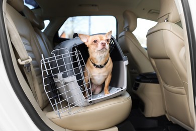 Photo of Small Chihuahua in pet carrier inside car