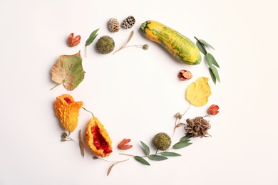 Dried flowers, leaves and zucchini arranged in shape of wreath on white background, flat lay with space for text. Autumnal aesthetic