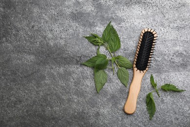 Photo of Stinging nettle and brush on grey background, flat lay with space for text. Natural hair care