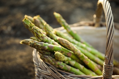 Wicker basket with fresh asparagus outdoors, closeup
