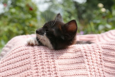 Photo of Cute cat resting on pink knitted fabric outdoors, closeup