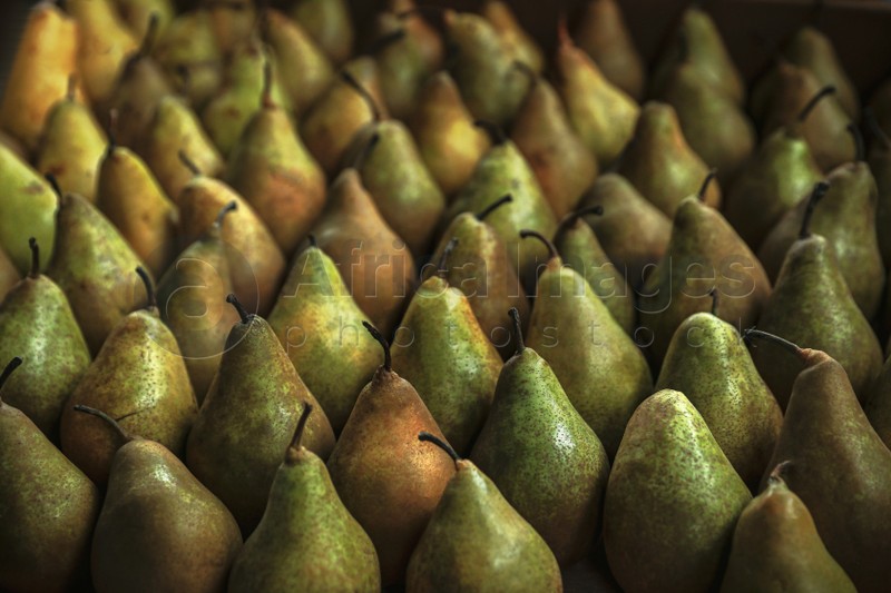 Photo of Sweet tasty fresh pears, closeup. Wholesale market