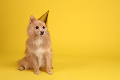 Cute dog with party hat on yellow background, space for text. Birthday celebration