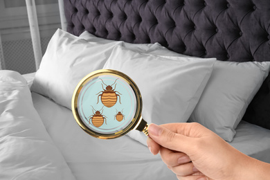 Woman with magnifying glass detecting bed bugs, closeup