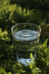 Glass of fresh water on green grass outdoors