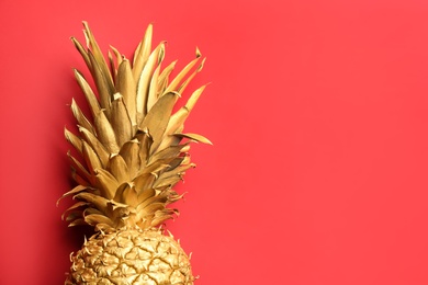 Photo of Painted golden pineapple on red background, top view with space for text. Creative concept
