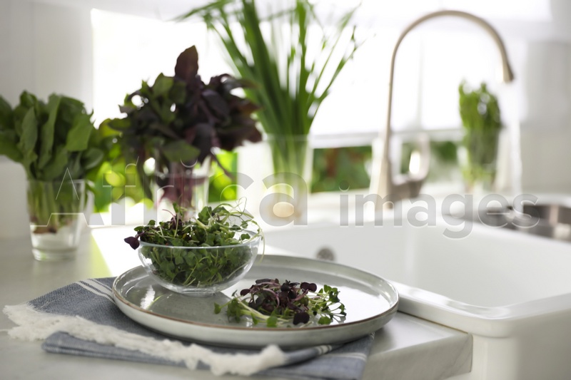 Photo of Bowl of fresh organic microgreen on countertop near sink in kitchen