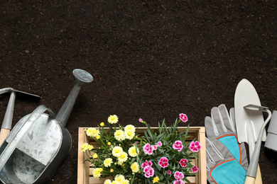 Flat lay composition with gardening tools and flowers on soil, space for text