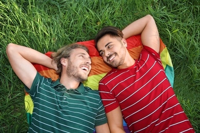 Happy gay couple lying on green grass, above view