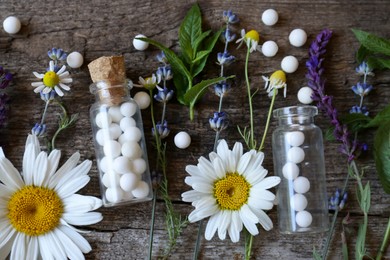 Bottles of homeopathic remedy and different plants on wooden background, flat lay