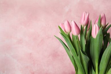 Bouquet of beautiful spring tulips on light pink background. Space for text