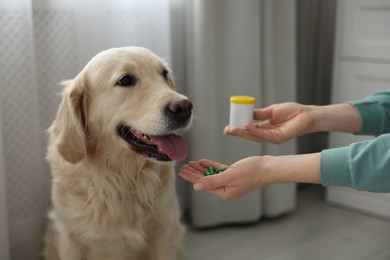 Woman giving pills to cute dog at home, closeup. Vitamins for animal