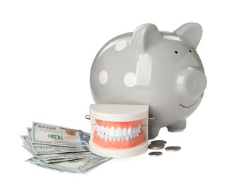 Educational dental typodont model, piggy bank and money on white background. Expensive treatment