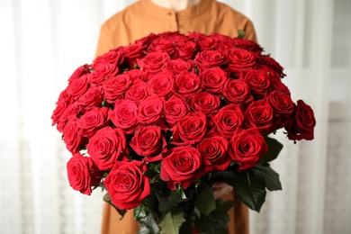 Woman holding luxury bouquet of fresh red roses indoors, closeup