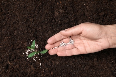 Woman fertilizing plant in soil, closeup. Gardening season