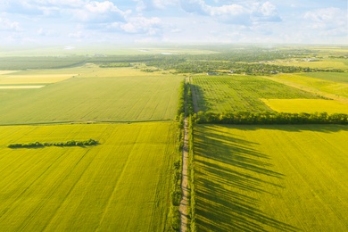Beautiful aerial view of green fields and empty road on sunny day