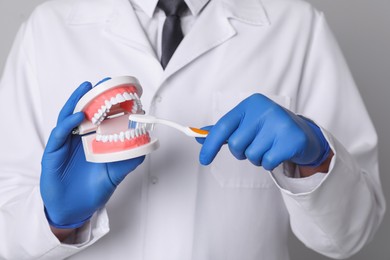 Dentist with jaws model and toothbrush on light grey background, closeup. Oral care demonstration
