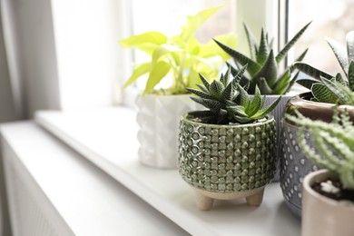 Photo of Beautiful potted houseplants on window sill indoors. Space for text