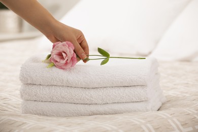Woman putting Eustoma flower on folded towels in bedroom, closeup