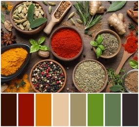 Flat lay composition with different herbs and spices on wooden table and color palette. Collage