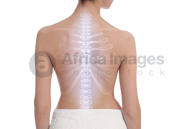 Woman with healthy spine on white background, back view