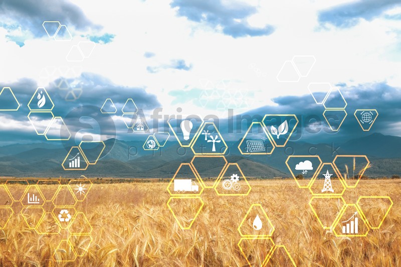 Digital eco icons and beautiful view of wheat field on cloudy sky