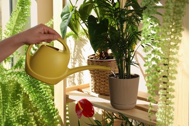 Photo of Woman watering beautiful house plants indoors, closeup