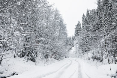 Photo of Picturesque view of road near snowy forest on winter day