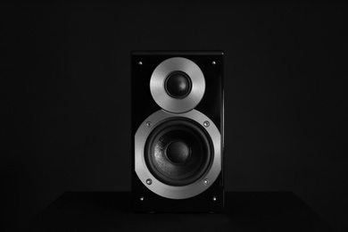 Modern powerful audio speaker on black background