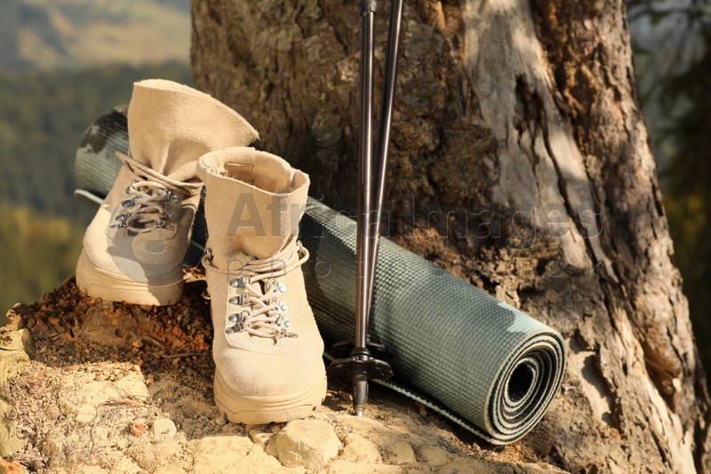 Photo of Trekking poles, mat and hiking boots near tree in wilderness on sunny day