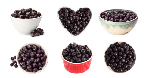 Set of fresh acai berries in bowls on white background. Banner design