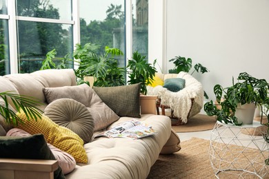 Indoor terrace interior with comfortable sofa and green plants