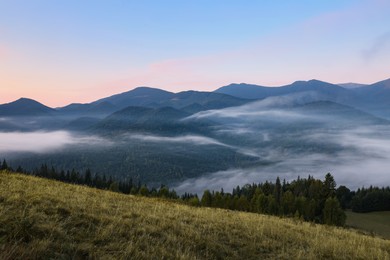 Amazing view of beautiful mountain landscape covered with fog