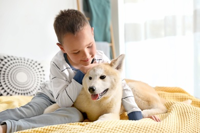 Happy boy with Akita Inu dog on bed. Little friends